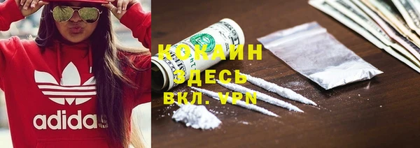 прущие крисы Белокуриха