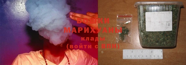 прущие крисы Белокуриха