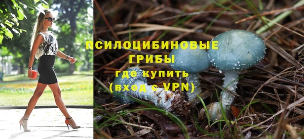 прущие крисы Белокуриха