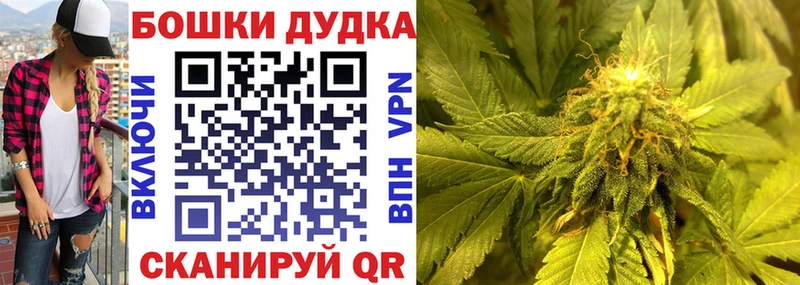 закладка  Севск  Канабис план 